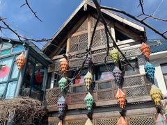 火锅-慢丽江·云南野生菌土鸡锅(西山店)