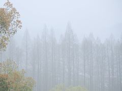 -杭州少年儿童公园