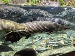 -太平洋海底世界