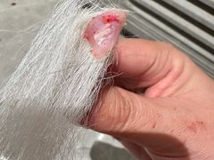 -瑞派申生动物医院·24H夜诊·国际动物医疗中心·骨外科(吴中路店)