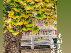 -北京石刻艺术博物馆(五塔寺)