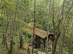 -严子陵钓台(富春江小三峡)