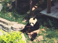 -大连森林动物园