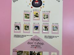 -PO PARK东方宝泰