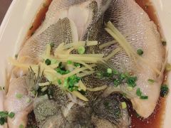 -HOHO餐厅(古子城店)