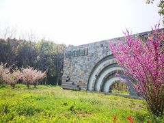 -南湖湿地公园
