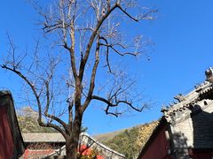 -潭柘寺景区