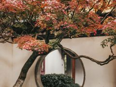 -虎跑公园