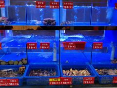 -小龍鳳·港式海鲜打边炉(沙湖路店)