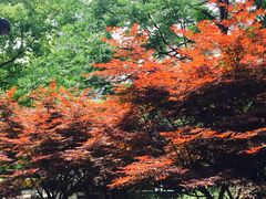 -苏州河梦清园环保主题公园