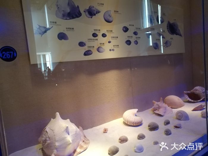广东省博物馆景点图片
