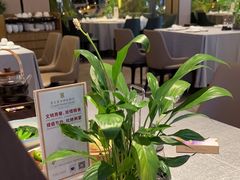 -晋江荣誉国际酒店·港誉茶餐厅