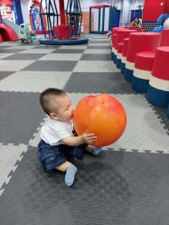 -哈尼兔儿童游戏乐园(沈阳大东龙之梦店)