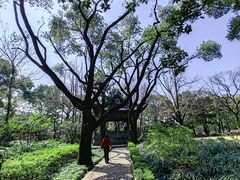 -汇龙潭