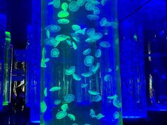 -海合安成都极地海洋公园