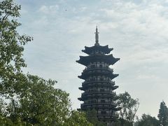 -洋湖国家湿地公园