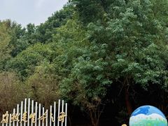 -同里国家湿地公园