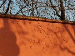 -河南省黄河迎宾馆