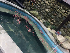 -宁海森林温泉