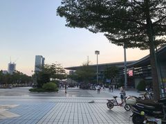 -宝安体育馆游泳馆