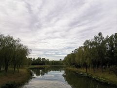 -东郊湿地公园