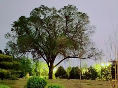 -长春市南湖公园