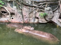 -长鹿旅游休博园