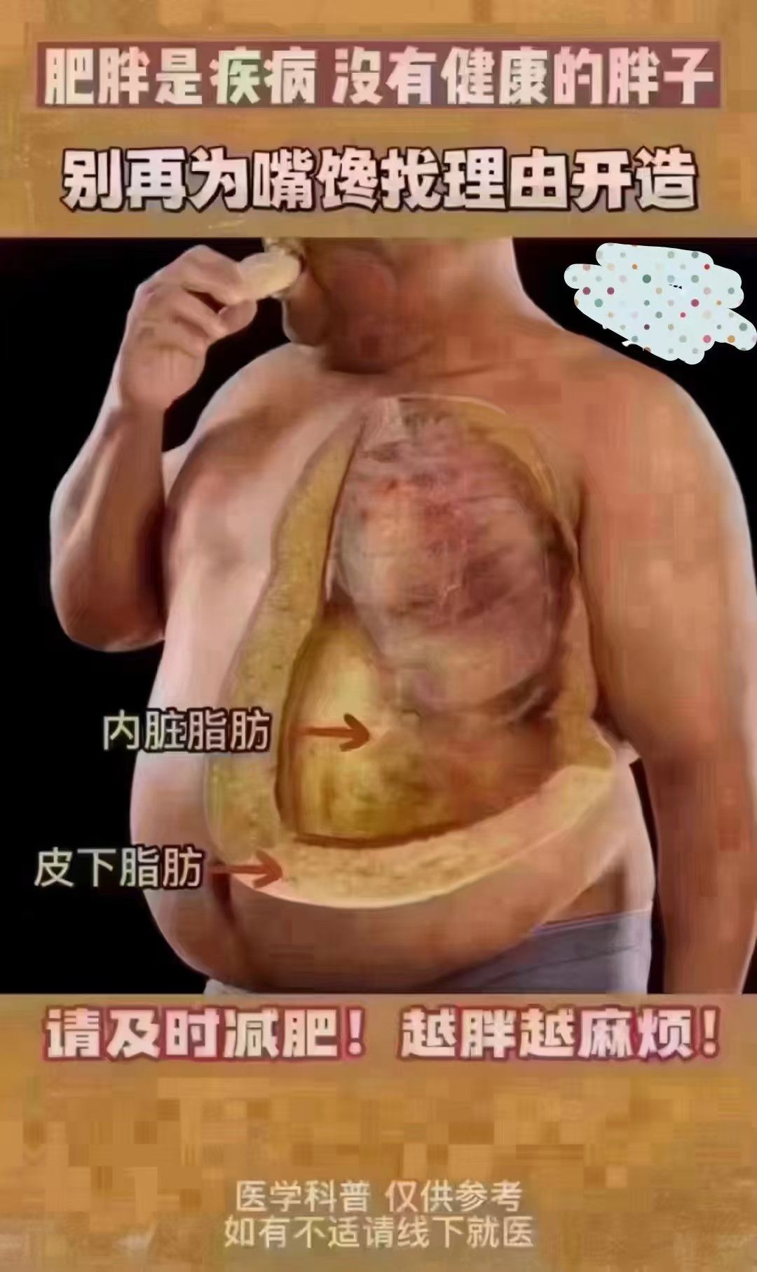 看看你们胖子的内脏脂肪和皮下脂肪