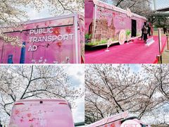 -南浦大桥长途旅游客运站