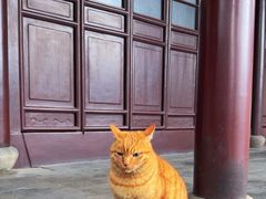 -西园戒幢律寺