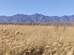 -野鸭湖国家湿地公园