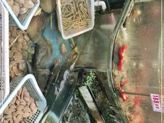 -鑫悦楼煎蟹·16年海鲜大排档