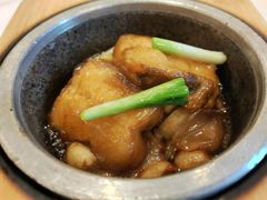 -鱼翅楼·津派砂锅鱼翅(水上公园店)