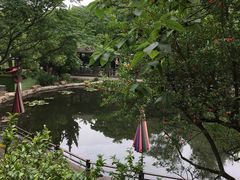 -白马涧龙池景区