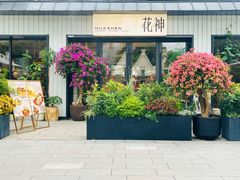 -花神·轻食简餐·咖啡馆·花卉绿植(荷兰花卉小镇店)