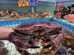-大锅强·蒸海鲜青岛菜(金沙滩店)