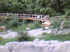 -狼牙山风景区