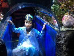 -暹罗海洋世界