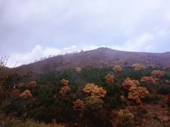 -木兰围场