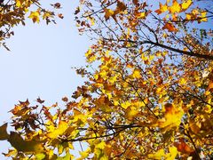 -大明宫国家遗址公园·御道广场