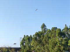 -周沫西餐(漫广场店)