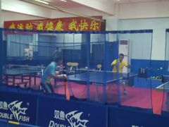 -大凤凰乒乓球馆