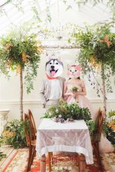 -艺匠摄影ARTIZ STUDIO(南京店)