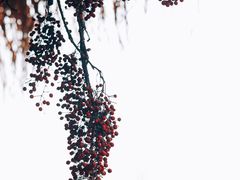 -悦哉·派对·草坪婚礼·围炉煮茶(三圣乡店)