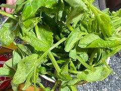 -海关荤豆花(洋河一路店)