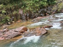 -广州白江湖森林公园