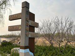 -马家湾湿地公园