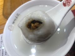 -海丝金凤(金鱼店)