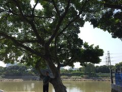 -黄埔古港