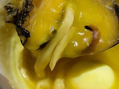 -蟹之国·精品蟹料理(极地店)